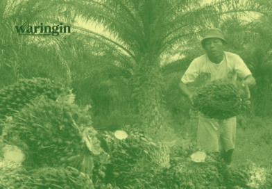 Mengulang bencana Sumatra di Papua