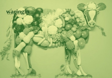 Mengenal Gerakan Vegan