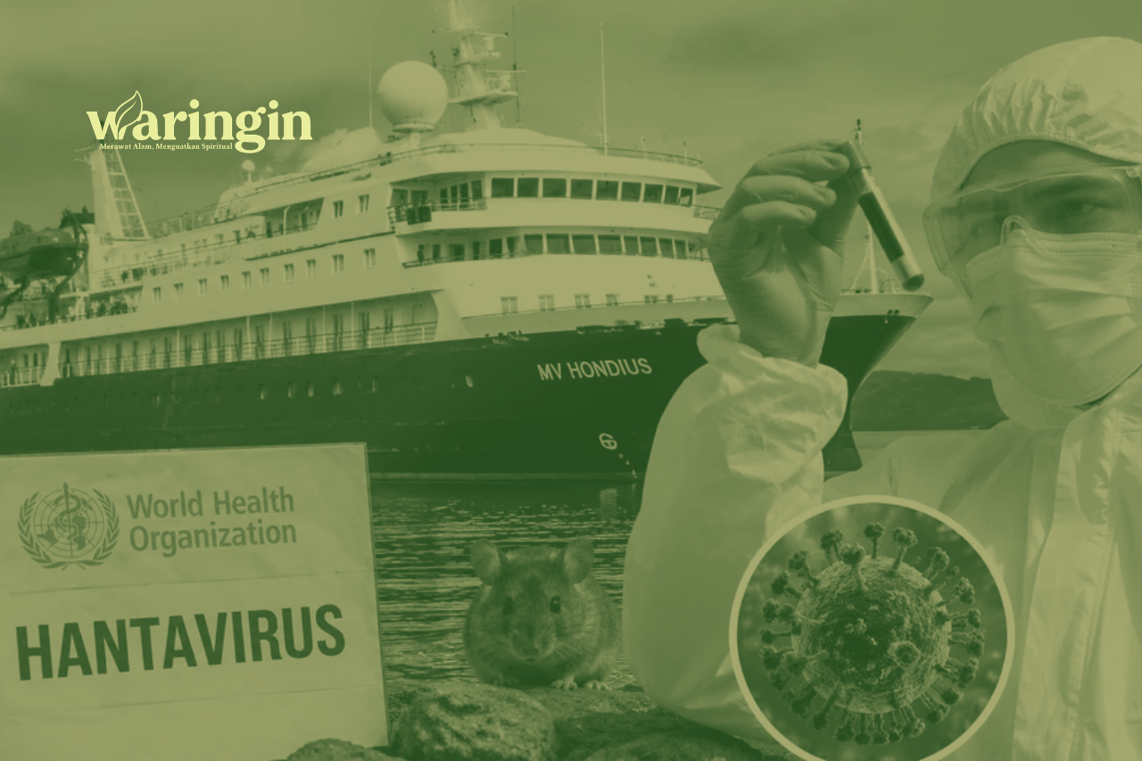 WHO Pantau Klaster Hantavirus di Kapal Pesiar, Tercatat 8 Kasus dan 3 Kematian